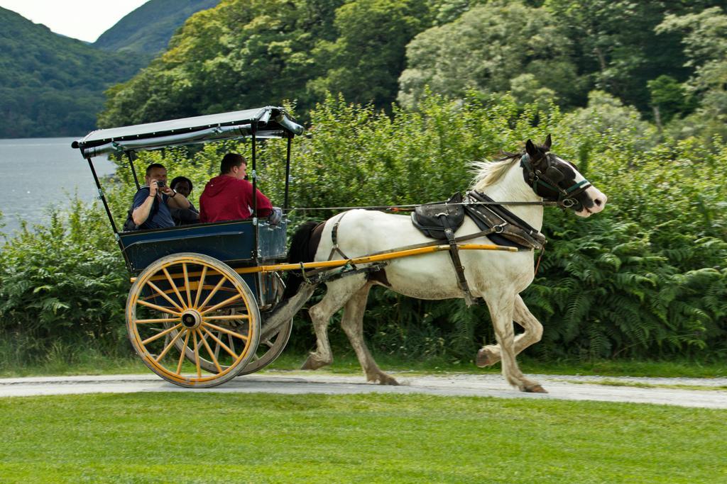 Eviston House Hotel Killarney Extérieur photo
